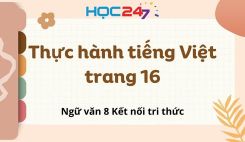 Thực hành tiếng Việt trang 16