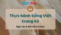 Soạn bài Thực hành tiếng Việt trang 42 - Ngữ văn 8 Tập 1 Kết Nối Tri Thức