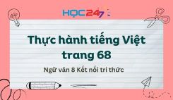 Soạn bài Thực hành tiếng Việt trang 68 - Ngữ văn 8 Tập 1 Kết Nối Tri Thức
