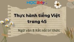 Soạn bài Thực hành tiếng Việt trang 45 - Ngữ văn 8 Tập 1 Kết Nối Tri Thức