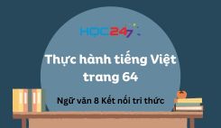 Thực hành tiếng Việt trang 64