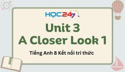 Unit 3 - A closer look 1