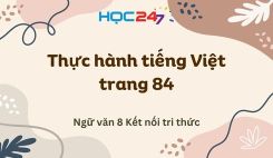 Thực hành tiếng Việt trang 84