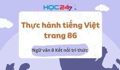 Soạn bài Thực hành tiếng Việt trang 86 - Ngữ văn 8 Tập 1 Kết Nối Tri Thức