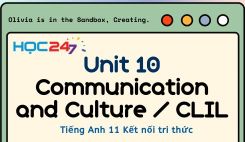 Unit 10 - Communication and Culture / CLIL