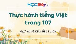 Soạn bài Thực hành tiếng Việt trang 107 - Ngữ văn 8 Tập 1 Kết Nối Tri Thức