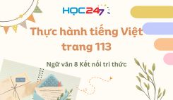 Soạn bài Thực hành tiếng Việt trang 113 - Ngữ văn 8 Tập 1 Kết Nối Tri Thức