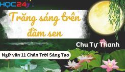 Soạn bài Trăng sáng trên đầm sen - Chu Tự Thanh - Ngữ văn 11 Tập 1 Chân Trời Sáng Tạo