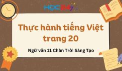 Soạn bài Thực hành tiếng Việt trang 20 - Ngữ văn 11 Tập 1 Chân Trời Sáng Tạo