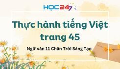 Soạn bài Thực hành tiếng Việt trang 45 - Ngữ văn 11 Tập 1 Chân Trời Sáng Tạo