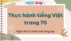 Soạn bài Thực hành tiếng Việt trang 70 - Ngữ văn 11 Tập 1 Chân Trời Sáng Tạo