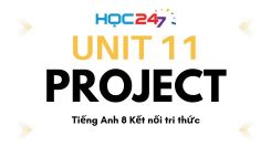 Unit 11 - Project