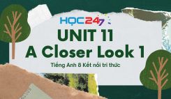 Unit 11 - A Closer Look 1