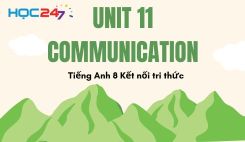 Unit 11 - Communication