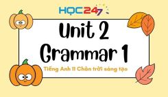 Unit 2 – Grammar 1