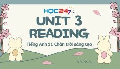 Unit 3 – Reading