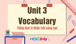 Unit 3 – Vocabulary