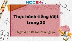Soạn bài Thực hành tiếng Việt trang 20 - Ngữ văn 8 Tập 1 Chân Trời Sáng Tạo