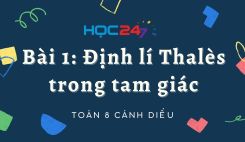 Bài 1: Định lí Thalès trong tam giác