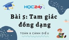 Bài 5: Tam giác đồng dạng