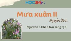 Mưa xuân II - Nguyễn Bính