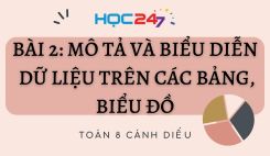 Bài 2: Mô tả và biểu diễn dữ liệu trên các bảng, biểu đồ