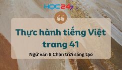 Soạn bài Thực hành tiếng Việt trang 41 - Ngữ văn 8 Tập 1 Chân Trời Sáng Tạo