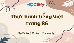 Soạn bài Thực hành tiếng Việt trang 86 - Ngữ văn 8 Tập 1 Chân Trời Sáng Tạo