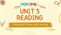 Unit 5 – Reading
