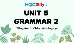 Unit 5 – Grammar 2