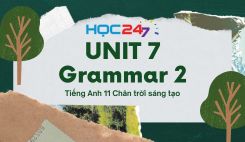 Unit 7 – Grammar 2