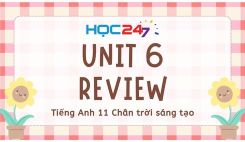 Review Unit 6
