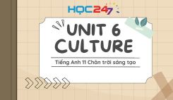 Unit 6 – Culture