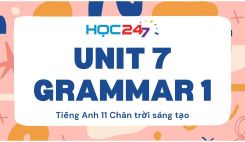 Unit 7 – Grammar 1