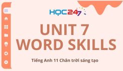 Unit 7 – Word Skills