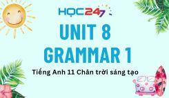 Unit 8 – Grammar 1