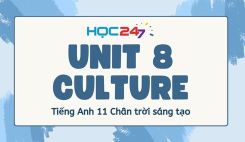 Unit 8 – Culture