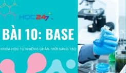 Bài 10: Base
