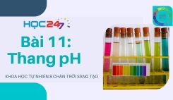 Bài 11: Thang pH