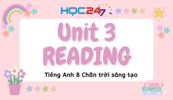 Unit 3 - Reading