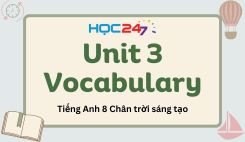 Unit 3 - Vocabulary