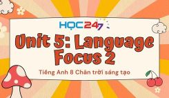 Unit 5 - Language Focus 2