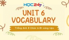 Unit 6 - Vocabulary