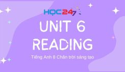 Unit 6 - Reading