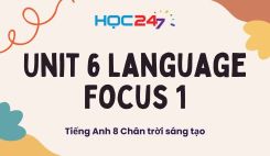 Unit 6 - Language Focus 1