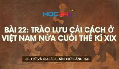 Bài 22: Trào lưu cải cách ở Việt Nam nửa cuối thế kỉ XIX