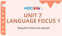 Unit 7 - Language Focus 1