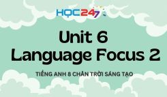 Unit 6 - Language Focus 2