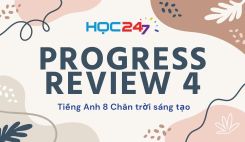 Progress Review 4