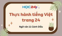Thực hành tiếng Việt trang 24